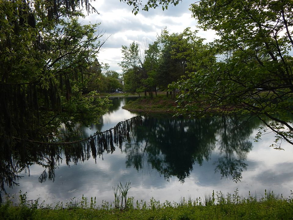 2nd image of 47 High Pond Ln