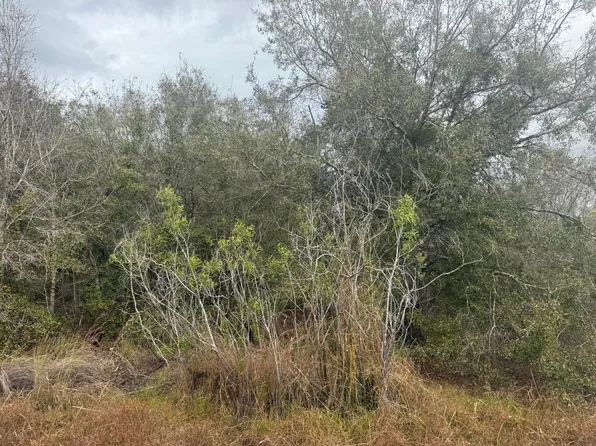 17667 NW 254th St, Okeechobee, FL 34972