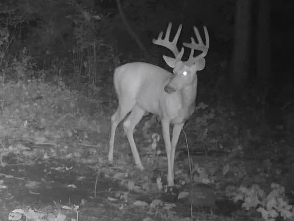 3rd image of 51133 Creglow Rd