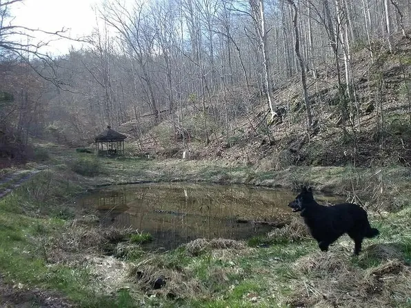 1894 Charleys Creek Rd, Culloden, WV 25510