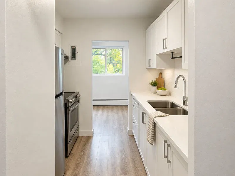 227 Cathcart St — Photo 4