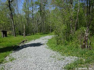 7517 Dineharts Crossing Rd, Bath, NY 14810