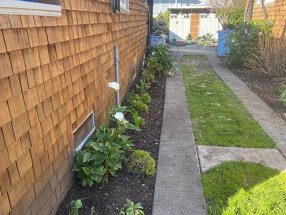 Walkway between houses
