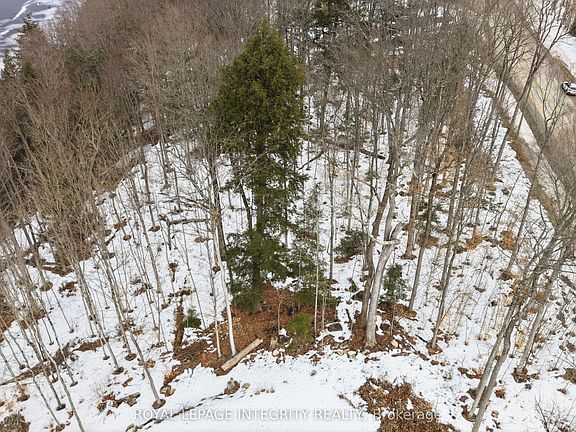 2nd image of 131 Shady Maple Rd