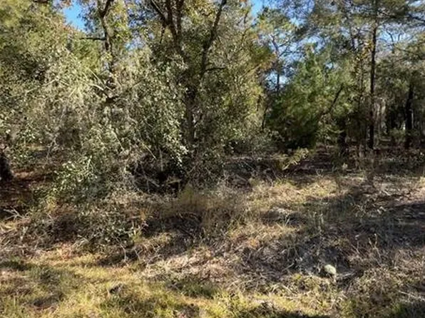 204 WALES STREET LOT 106, INTERLACHEN, FL 32148
