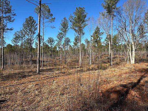 3rd image of 3-002D Butler Bridge Rd