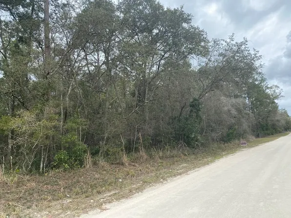 TBD NE 796th St, Old Town, FL 32680