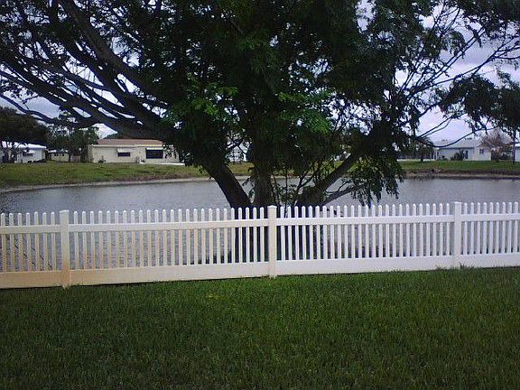 shade tree in back yard