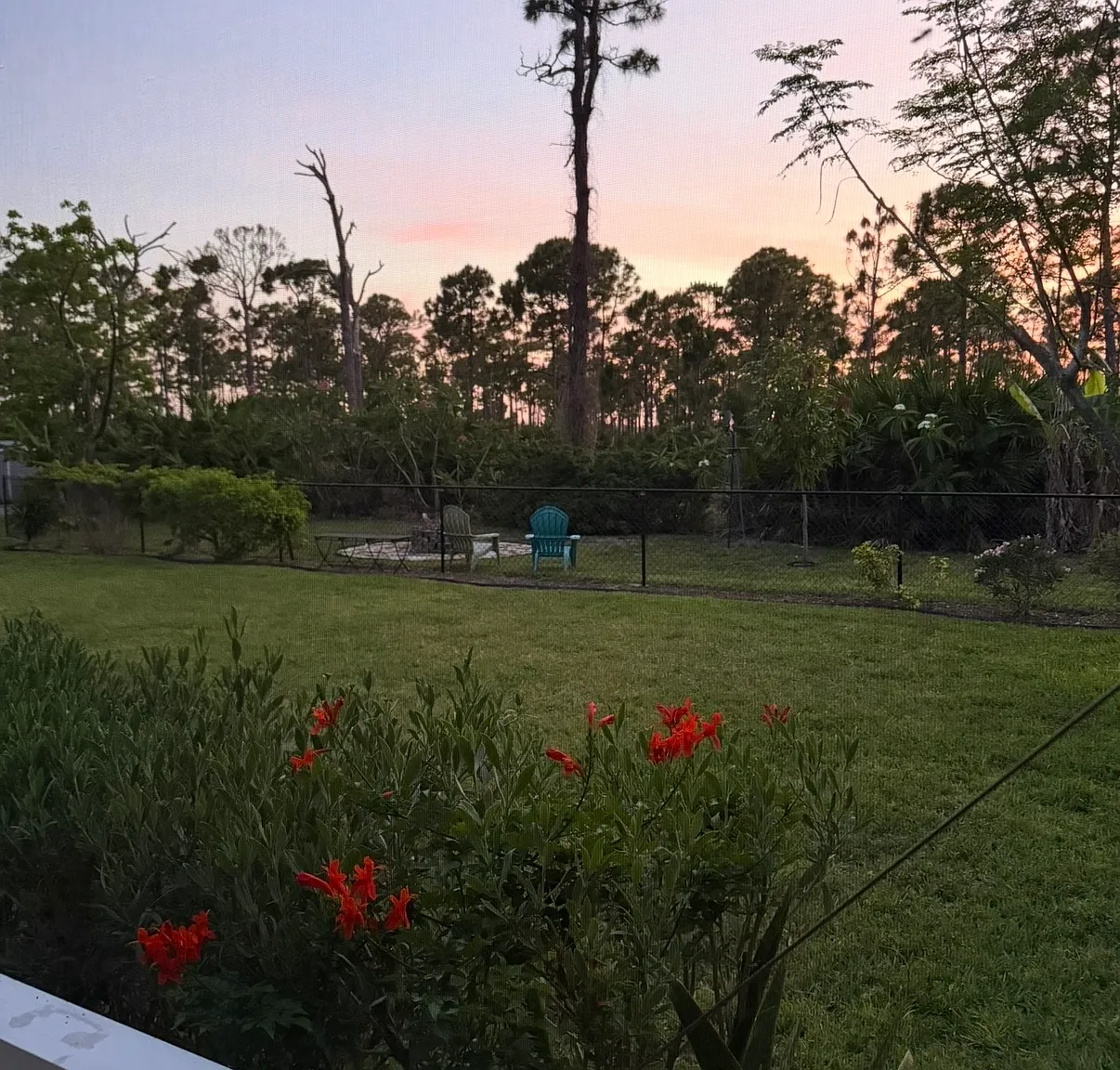 3 bed, 1659 sqft, $2,500 — Photo 3