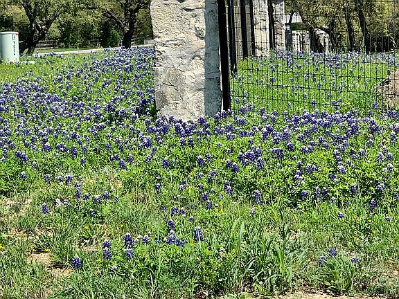 5th image of 7743 Fair Oaks Pkwy