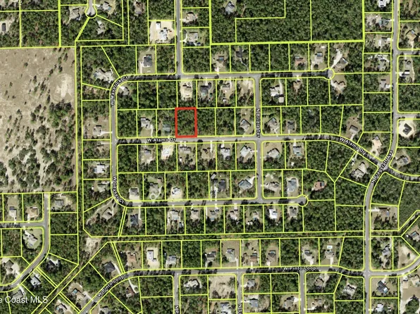 4811 W Alamo Dr, Beverly Hills, FL 34465