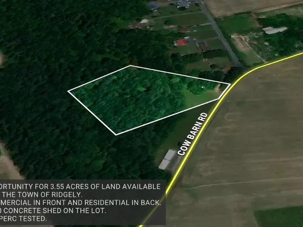12760 Cow Barn Rd, Ridgely, MD 21660