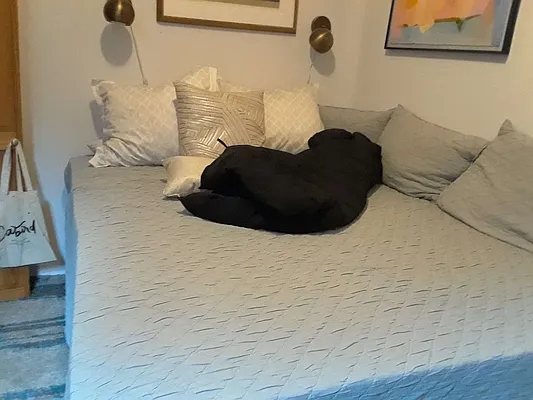 Rented by Vanderborgh Realty  | media 4