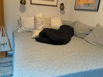 Rented by Vanderborgh Realty 