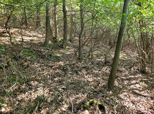 LOT 89 Ridge Run, Claysburg, PA 16625