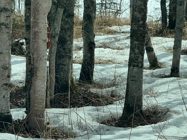 L7c B2 Baun Dr, Nikiski, AK 99635