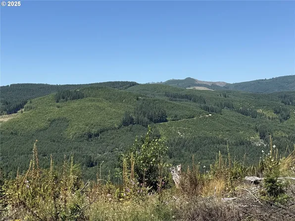 3725 Little Kalama River Rd, Woodland, WA 98674
