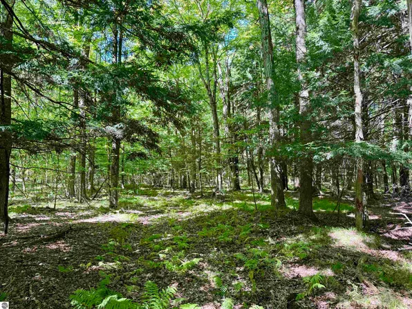 V/l 180th Ave, Stanwood, MI 49346