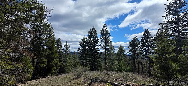 5th image of 1112 TBD Bandtman Creek Rd