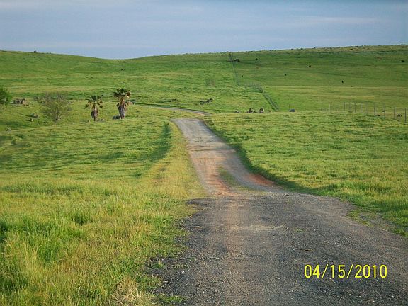 Road leading to the house