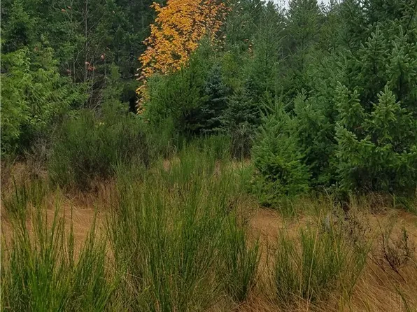 1140 1180 W California Road, Shelton, WA 98584