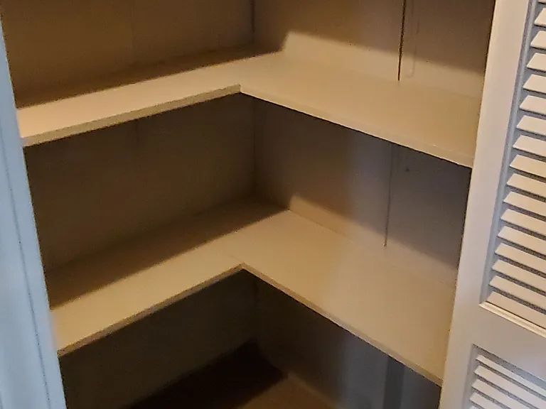 Storage Closet in Basement
