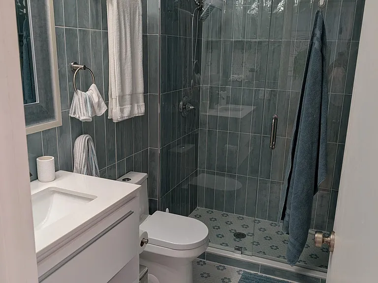 Guest Bathroom / Shower