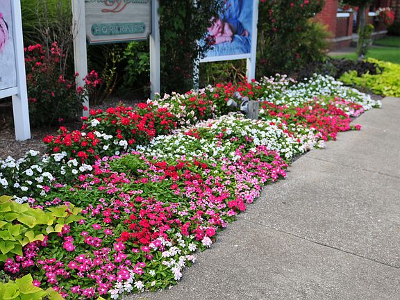 Side Signage & Landscaping