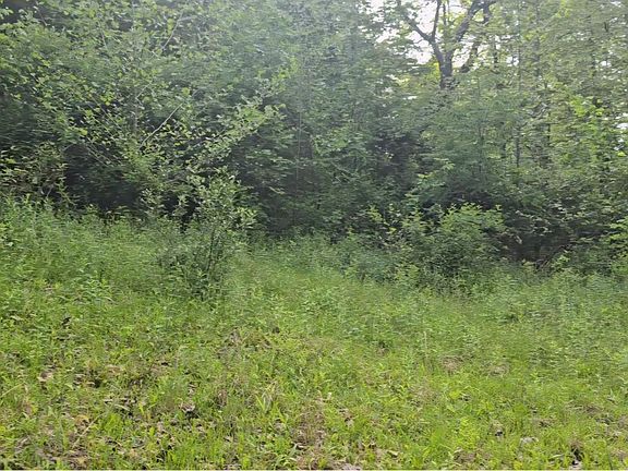 5th image of Toney Fork Rd
