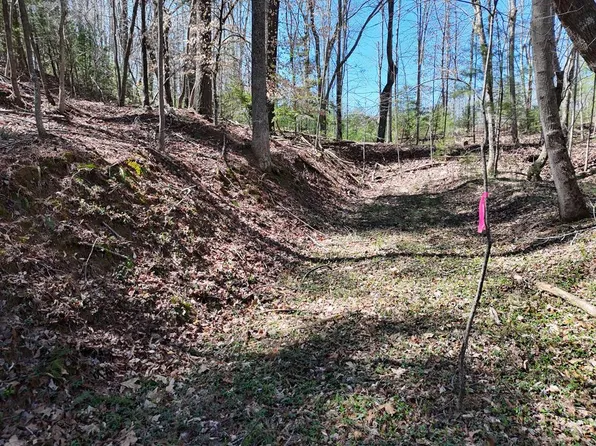 3 Restoration Rd, Blairsville, GA 30512