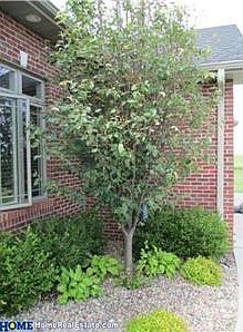4th image of 7075 Whitetail Ln