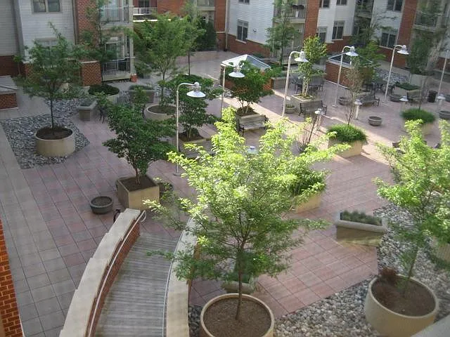 309 Holland Ln #325 — Photo 12
