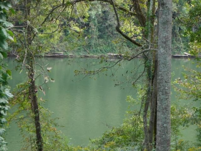 1st image of 316 Misty River Run