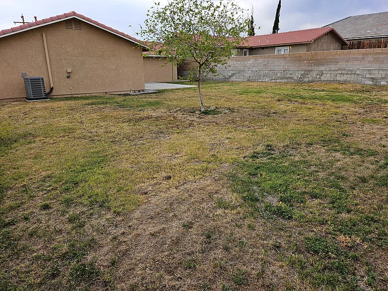 11800 Verbena Dr — Photo 4