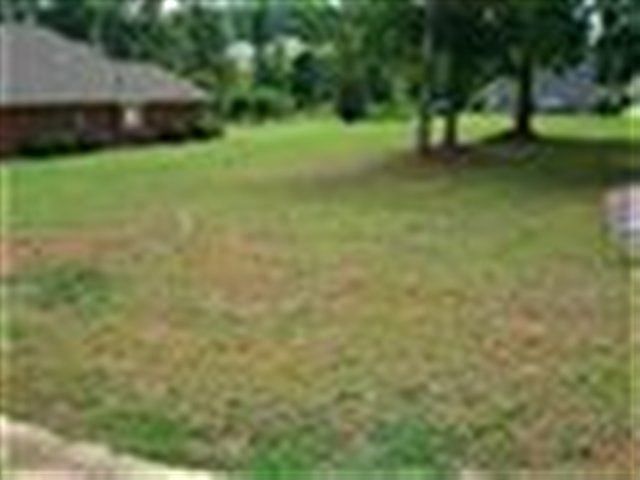 2nd image of 910 Lyday Ln