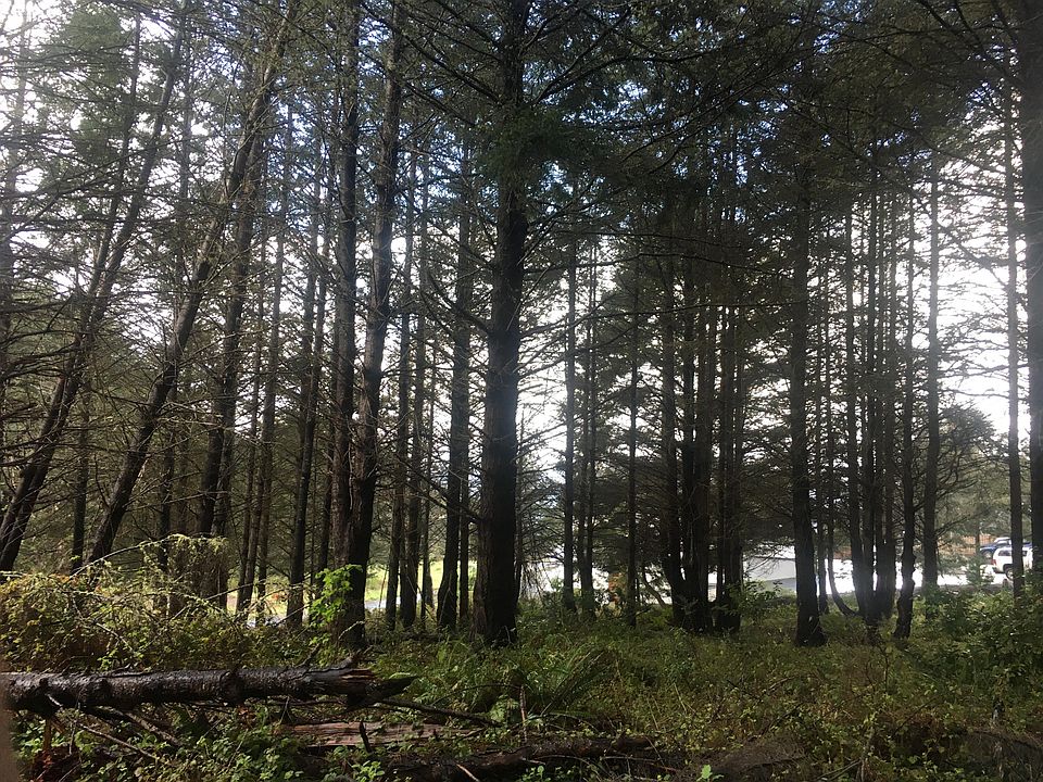 2nd image of 245 Albatross Rd