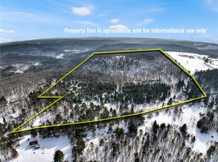 169 Irish Hill Rd LOT 10, Newfield, NY 14867