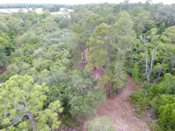 155 Snake Hill Rd Lot 6, Crescent City, FL 32112