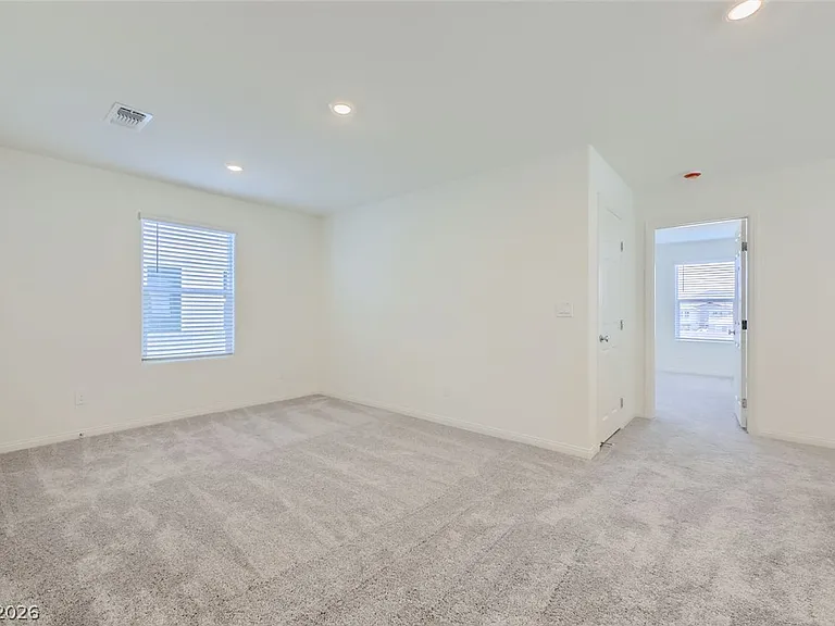 4159 Scarlet Cob Ave — Photo 19
