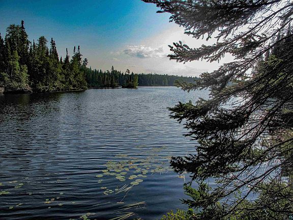 4th image of 40 Black Spruce Tr