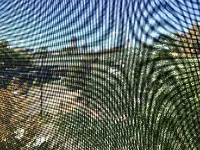 City view