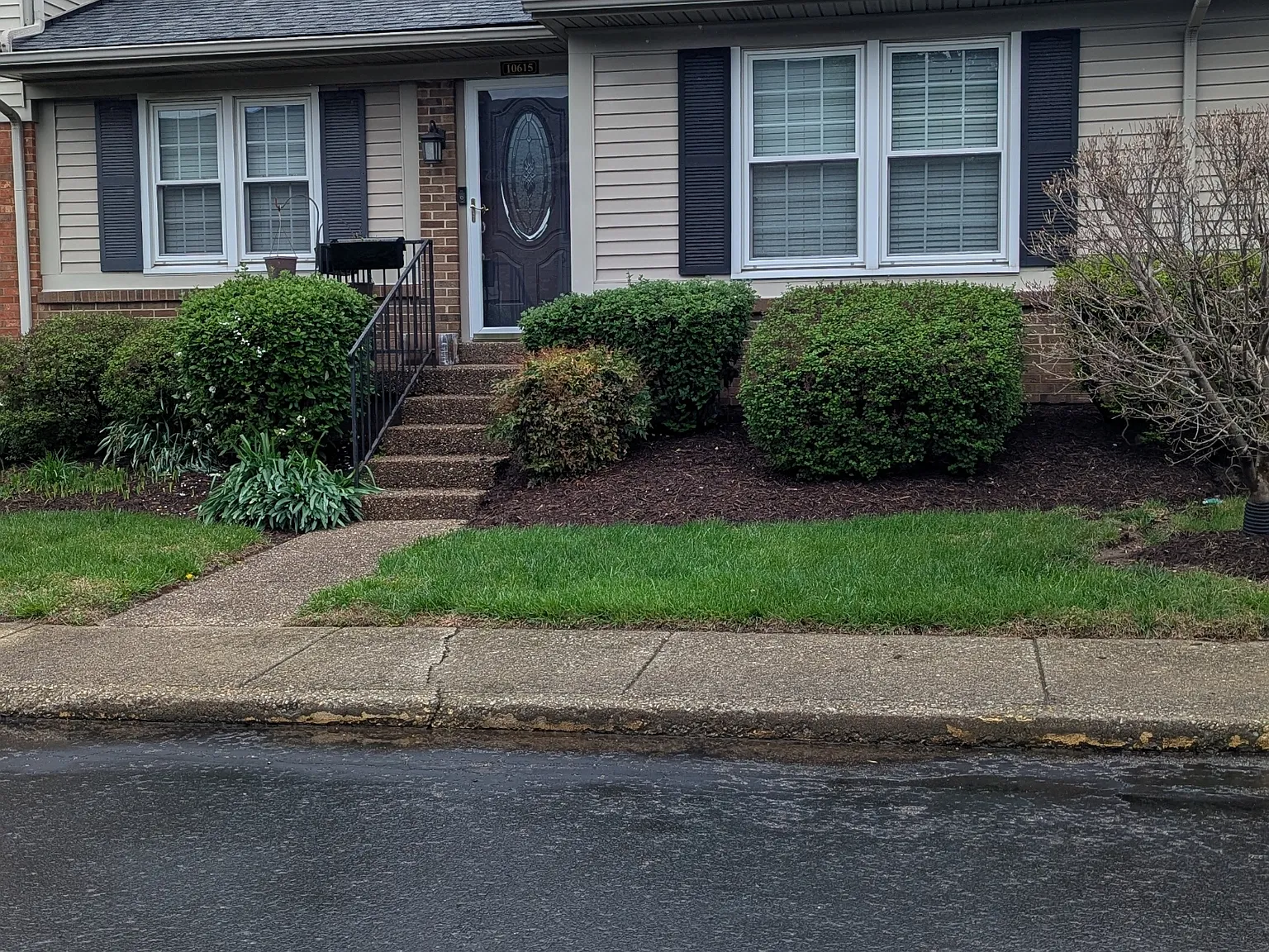 Sycamore10615 (TF) - 1 — Photo 1