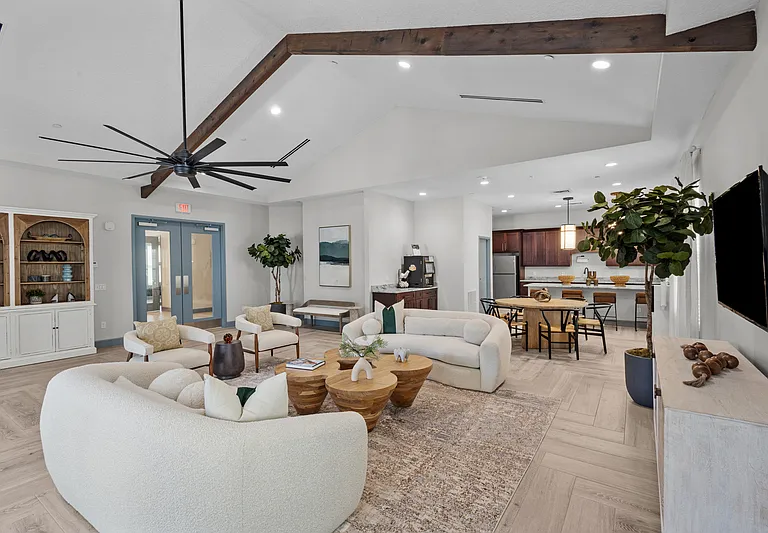 New Tampa Palms — Photo 8