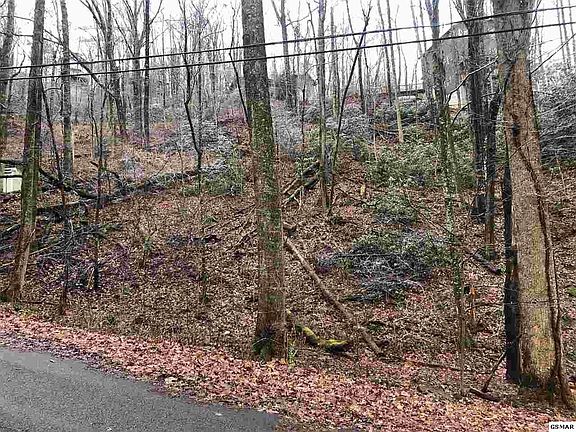 5th image of 85 N Baden Cir Lot 85