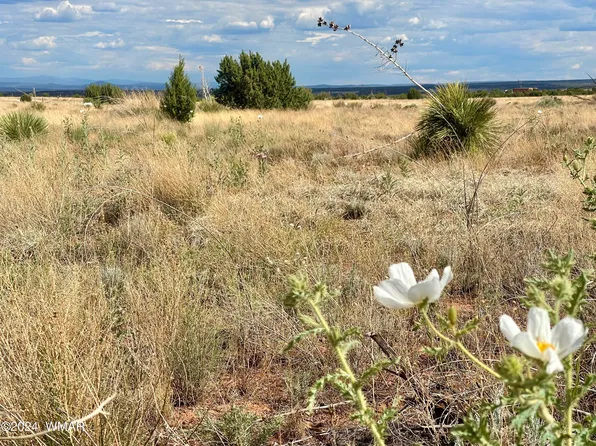 5494 Glasglow Dr, Heber, AZ 85928