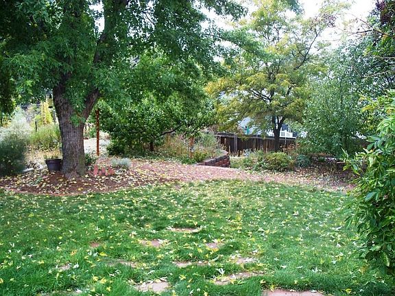 Backyard is gardners delight