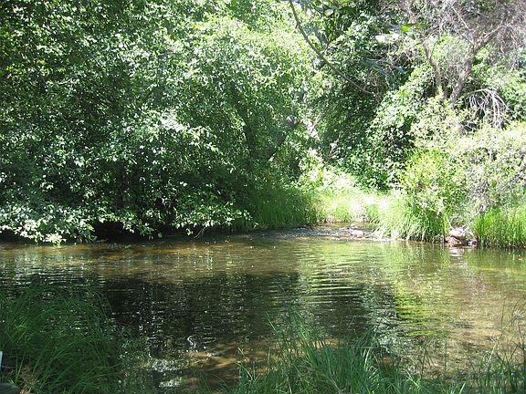 One of two swimming holes