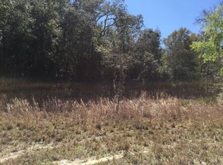 34478 Arbor St, Dade City, FL 33523