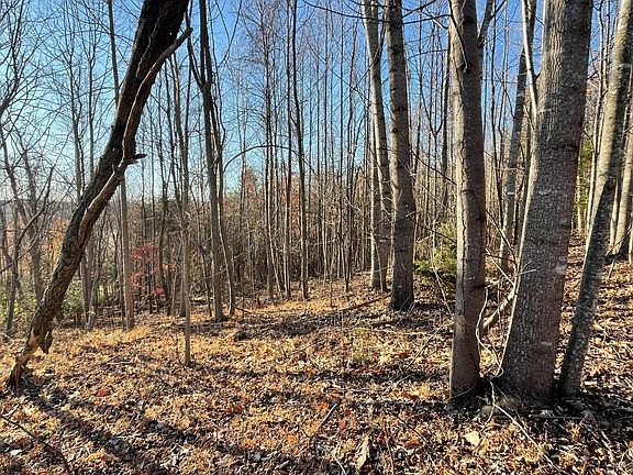4th image of 0 Strawberry Hill Ct Lot 55&56