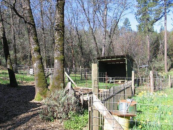 LOAFING SHED! LIVESTOCK WELCOME!